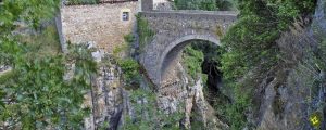 Rutas organizadas en La Rioja